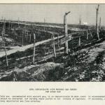 A black-and-white photograph of a desolate landscape and a sign warning of mustard gas contamination.