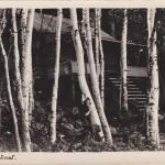A black-and-white photograph of a cabin in the woods.