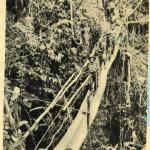 A black-and-white photograph of a group of soldiers crossing a bridge in a jungle.